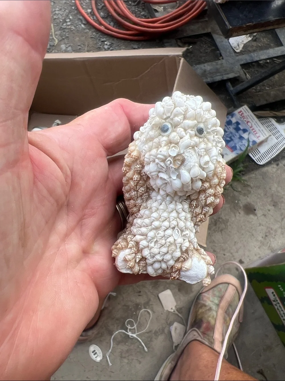 Narco decorative seashell